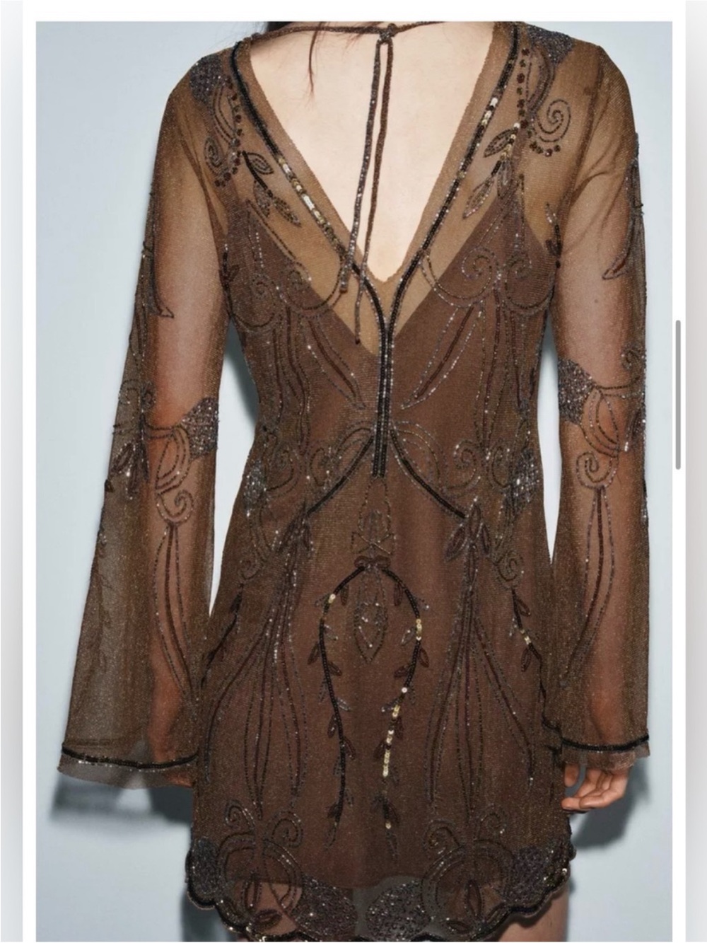 Zara Brown Beaded V-Neck Sheer-Sleeve Mini Dress - Picture 3 of 5